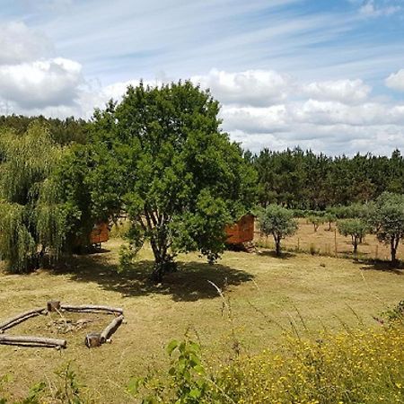 Quinta Portugo Otel Cernache do Bonjardim Dış mekan fotoğraf