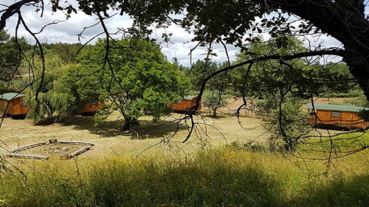 Quinta Portugo Otel Cernache do Bonjardim Dış mekan fotoğraf