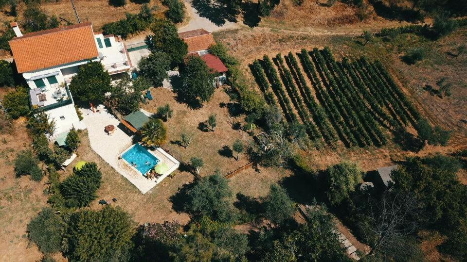 Quinta Portugo Otel Cernache do Bonjardim Dış mekan fotoğraf